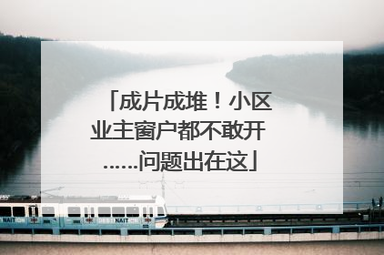 成片成堆！小区业主窗户都不敢开……问题出在这