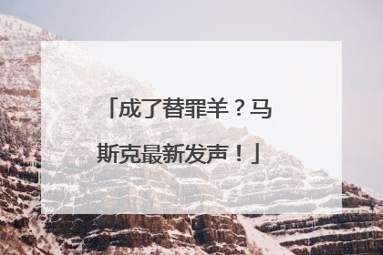 成了替罪羊？马斯克最新发声！
