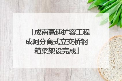 成南高速扩容工程成阿分离式立交桥钢箱梁架设完成
