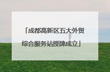 成都高新区五大外贸综合服务站授牌成立