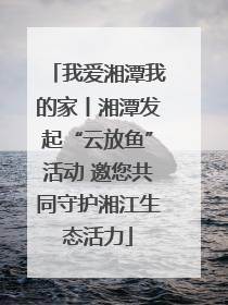 我爱湘潭我的家丨湘潭发起“云放鱼”活动 邀您共同守护湘江生态活力
