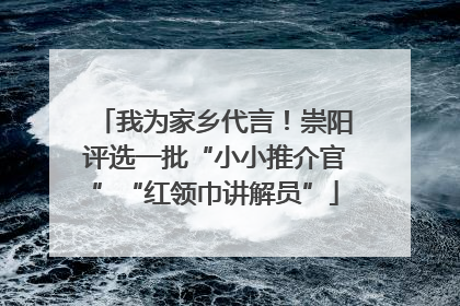 我为家乡代言！崇阳评选一批“小小推介官”“红领巾讲解员”