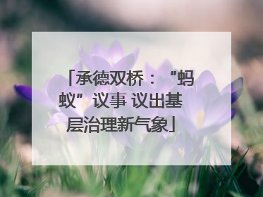 承德双桥：“蚂蚁”议事 议出基层治理新气象