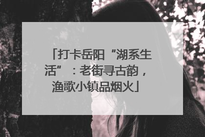 打卡岳阳“湖系生活”：老街寻古韵，渔歌小镇品烟火