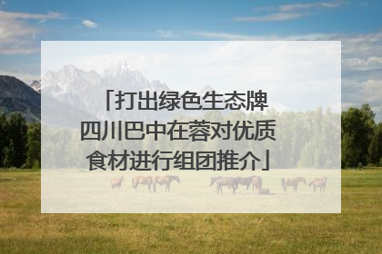 打出绿色生态牌 四川巴中在蓉对优质食材进行组团推介