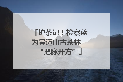 护茶记！检察蓝为景迈山古茶林 “把脉开方”
