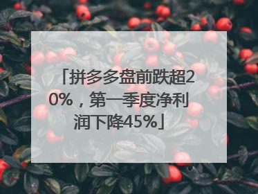 拼多多盘前跌超20%，第一季度净利润下降45%