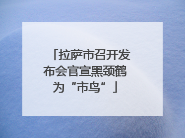 拉萨市召开发布会官宣黑颈鹤为“市鸟”