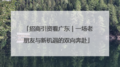 招商引资看广东｜一场老朋友与新机遇的双向奔赴