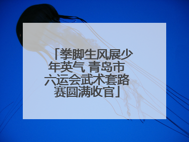 拳脚生风展少年英气 青岛市六运会武术套路赛圆满收官