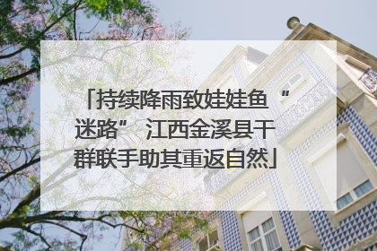 持续降雨致娃娃鱼“迷路” 江西金溪县干群联手助其重返自然
