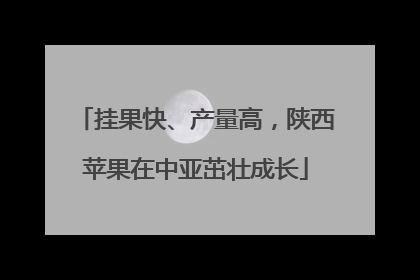挂果快、产量高，陕西苹果在中亚茁壮成长