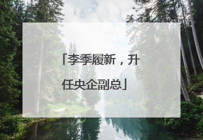 李季履新，升任央企副总