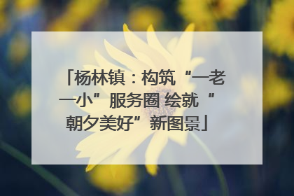 杨林镇：构筑“一老一小”服务圈 绘就“朝夕美好”新图景