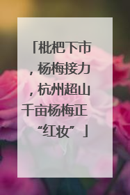 枇杷下市，杨梅接力，杭州超山千亩杨梅正“红妆”