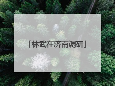 林武在济南调研