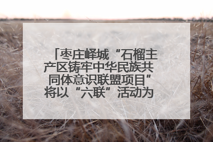 枣庄峄城“石榴主产区铸牢中华民族共同体意识联盟项目”将以“六联”活动为抓手深化品牌建设