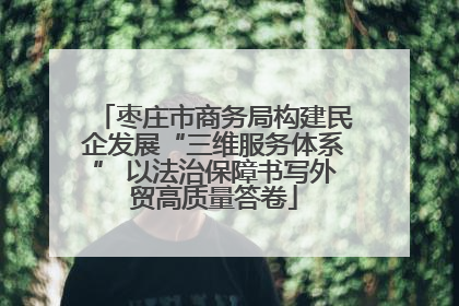 枣庄市商务局构建民企发展“三维服务体系” 以法治保障书写外贸高质量答卷
