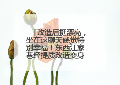改造后挺漂亮，坐在这聊天感觉特别幸福！东西江家巷经提质改造变身居民自治幸福家
