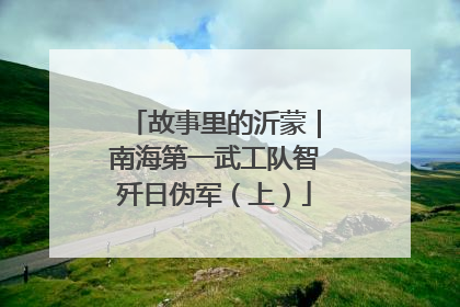 故事里的沂蒙｜南海第一武工队智歼日伪军（上）