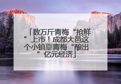 数万斤青梅“抢鲜”上市！成都大邑这个小镇靠青梅“酿出”亿元经济