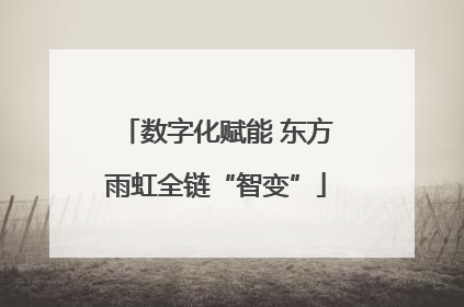 数字化赋能 东方雨虹全链“智变”