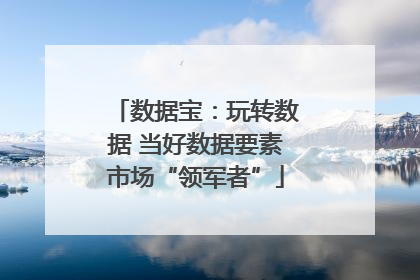 数据宝：玩转数据 当好数据要素市场“领军者”