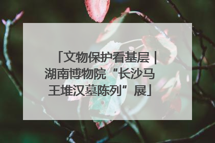 文物保护看基层｜湖南博物院“长沙马王堆汉墓陈列”展