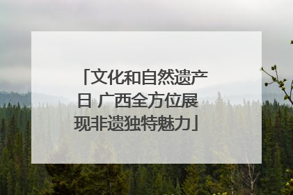 文化和自然遗产日 广西全方位展现非遗独特魅力