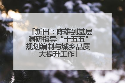新田：陈雄到基层调研指导“十五五”规划编制与城乡品质大提升工作