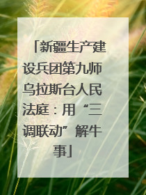 新疆生产建设兵团第九师乌拉斯台人民法庭：用“三调联动”解牛事