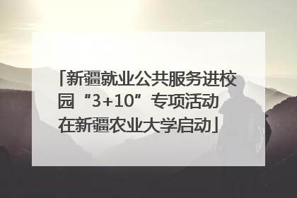 新疆就业公共服务进校园“3+10”专项活动在新疆农业大学启动