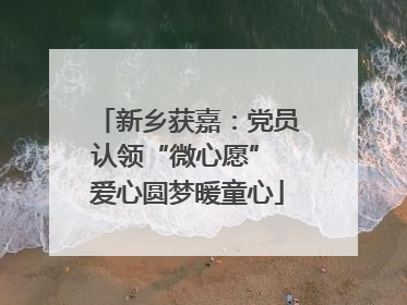 新乡获嘉：党员认领“微心愿” 爱心圆梦暖童心