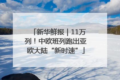 新华鲜报｜11万列！中欧班列跑出亚欧大陆“新时速”