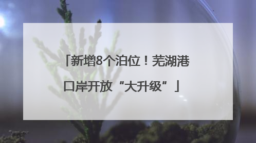 新增8个泊位！芜湖港口岸开放“大升级”