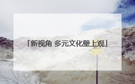 新视角 多元文化壁上观