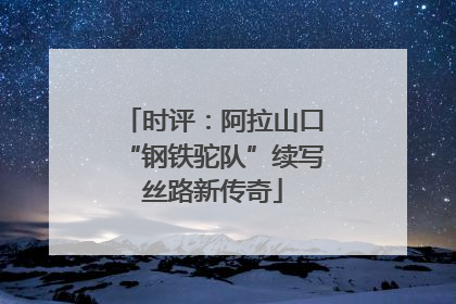 时评：阿拉山口“钢铁驼队”续写丝路新传奇