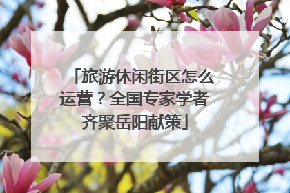 旅游休闲街区怎么运营？全国专家学者齐聚岳阳献策