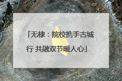 无棣：院校携手古城行 共融双节暖人心
