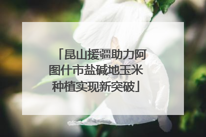 昆山援疆助力阿图什市盐碱地玉米种植实现新突破