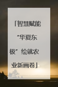 智慧赋能 “华夏东极”绘就农业新画卷
