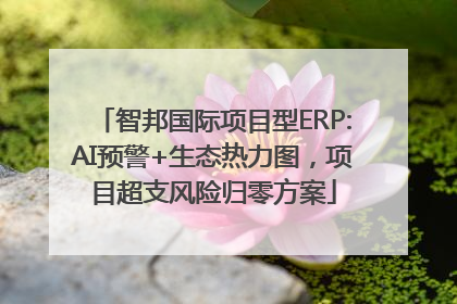 智邦国际项目型ERP:AI预警+生态热力图，项目超支风险归零方案