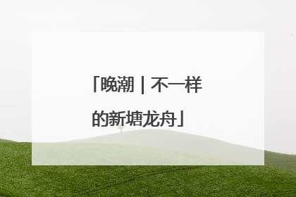 晚潮｜不一样的新塘龙舟