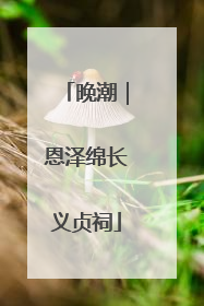 晚潮｜恩泽绵长义贞祠