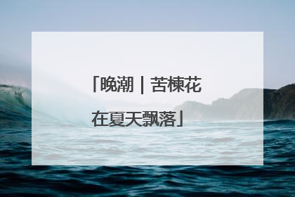 晚潮｜苦楝花在夏天飘落