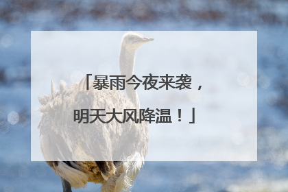 暴雨今夜来袭，明天大风降温！