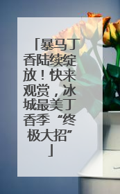 暴马丁香陆续绽放！快来观赏，冰城最美丁香季“终极大招”