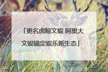 更名虎鲸文娱 阿里大文娱锚定娱乐新生态