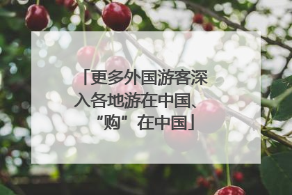 更多外国游客深入各地游在中国、“购”在中国