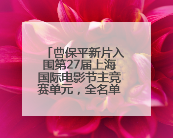 曹保平新片入围第27届上海国际电影节主竞赛单元，全名单揭晓
